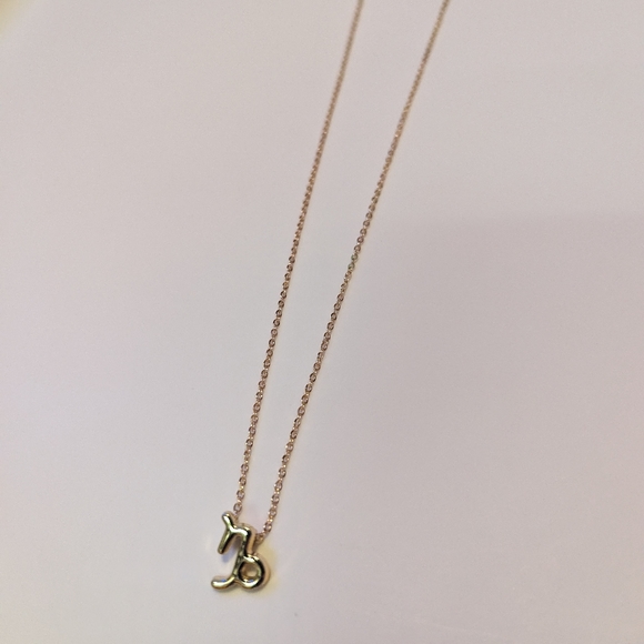 Zodiac Capricorn Sign Fashion Necklace - Picture 3 of 8